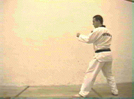 Fighting stance