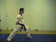 Forward stance