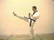 High section front kick