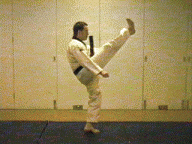 Outer crescent kick