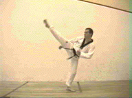Reverse turning kick