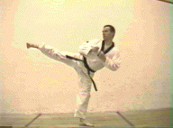 Side kick