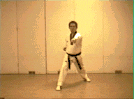 mid section punch