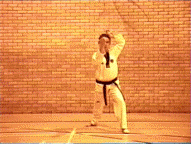 high knifehand block/strike
